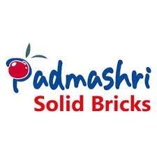 Padmashri solid bricks