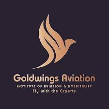 Goldwings Aviation
