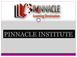 Pinnacle Ias Academy
