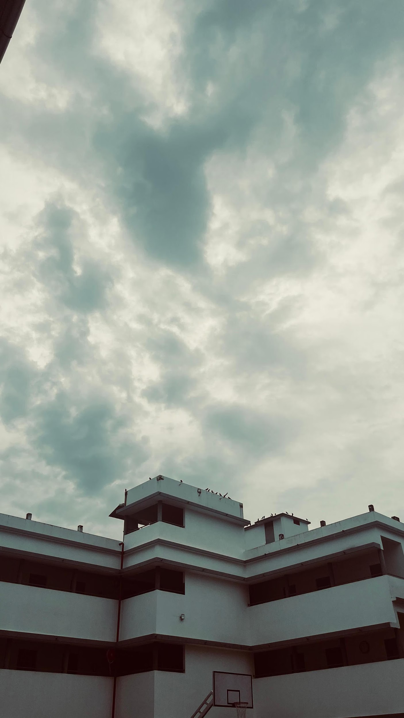 ST. ALLOYSIUS SCHOOL AZHAPUZHA