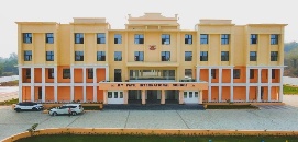 D Y Patil International School