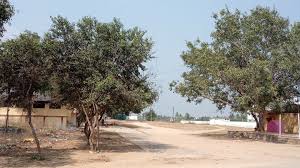 Govt.hs, Senthamangalam