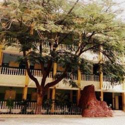 K.g.v Sala H.s, Virattipathu
