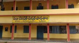 ZPHS ALAMANDA KODURU