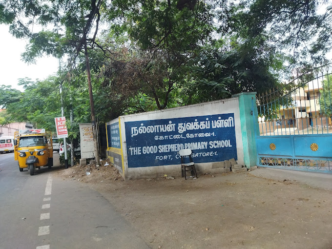 Arrow Nps, Paravai