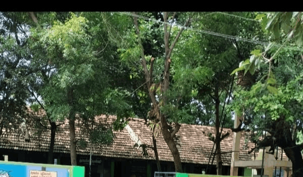 P.u.p.s. Bolnayakkanpatti