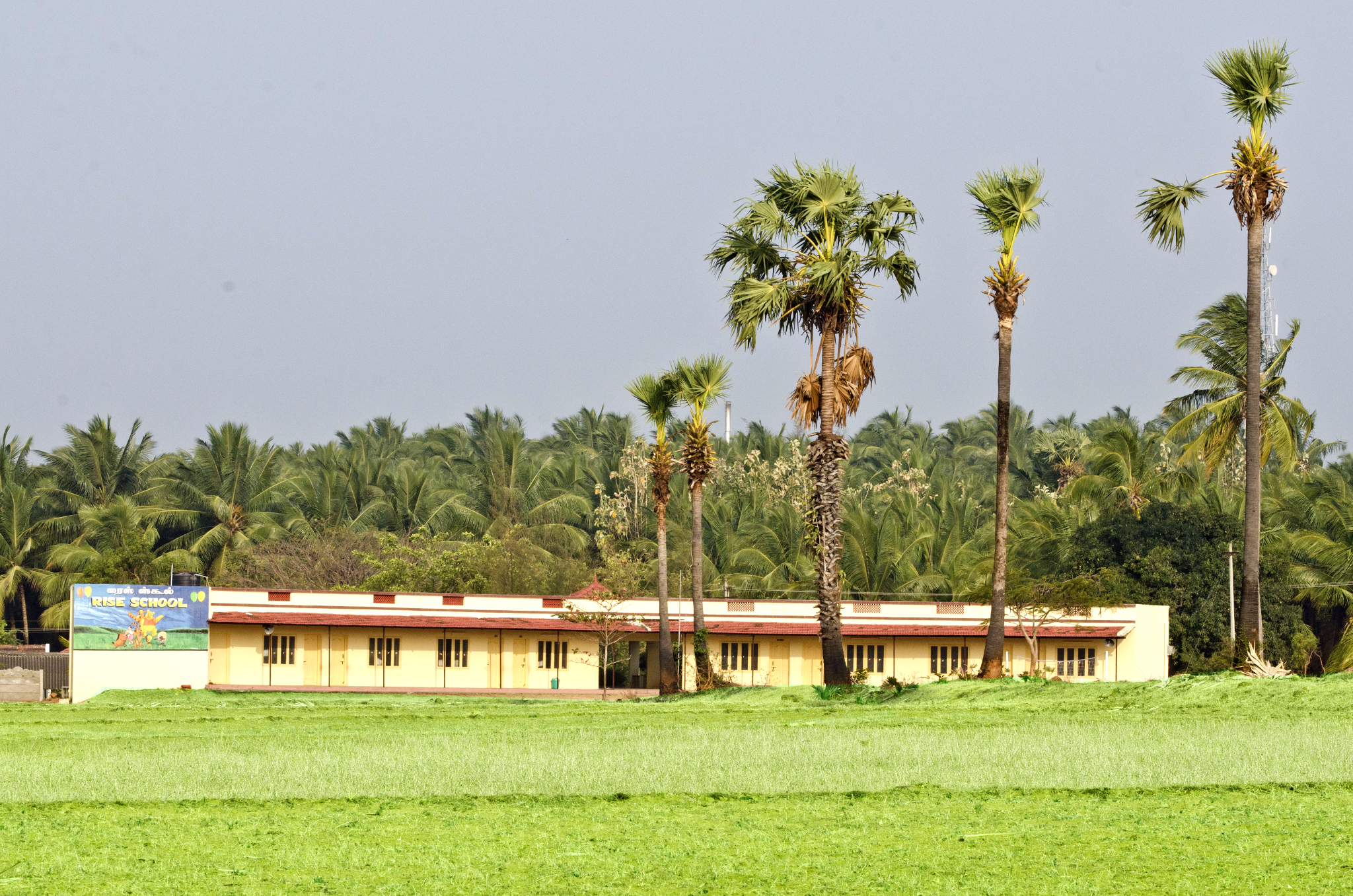 Rise Montessori Nur & Pri School