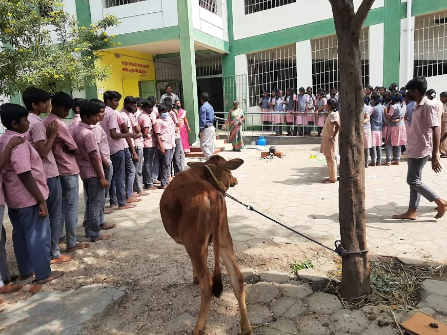 Government High Schhool, Poomalur
