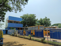 P.n.u. A Shankara Nara Nad. Mat Hs, Avaniyapuram