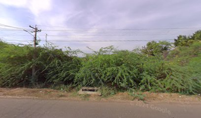 P.u.p.s. S.puliyankulam