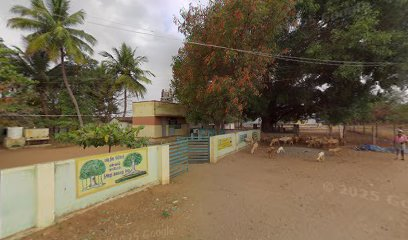 Panchayat Union Primary School Kallipatti
