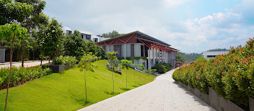 The White School International