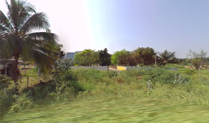 Government Tribal Primary School Lingamavoor