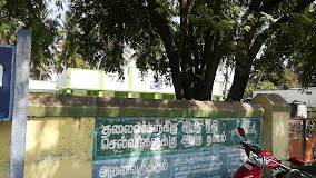 Panchayat Union Primary School Jallipatti