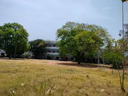 Praveen Memorial N&p School Guindy