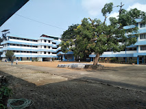  S N VIDYA BHAVAN SENIOR SECONDARY SCHOOL THRISSUR