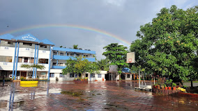  VIDHYA VIHAR CENTRAL SCHOOL THRISSUR