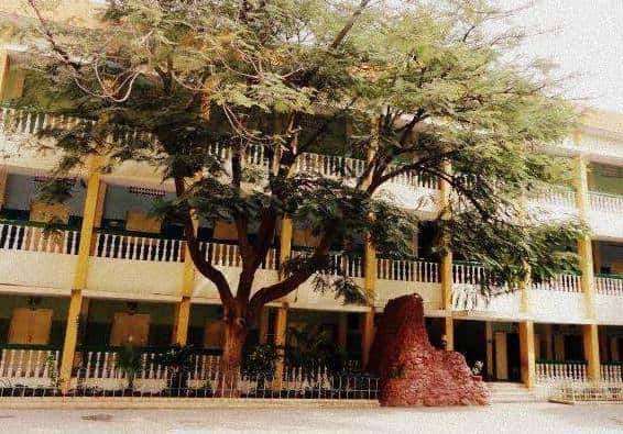 St.mary Of Leuca Mat. Hss, Pethaniyapuram