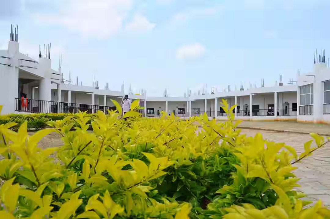 NURTURE INTERNATIONAL SCHOOL