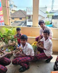  MPL HS G SALIPETA KKD