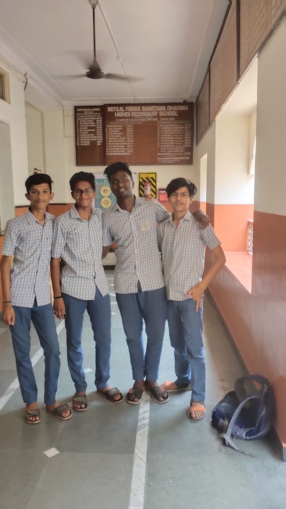 M.f.s.d Hss