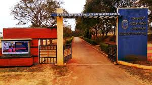 PM SHRI SCHOOL JAWAHAR NAVODAYA VIDYALAYA MAVINAKERE P.O HOLENARASI PURA 