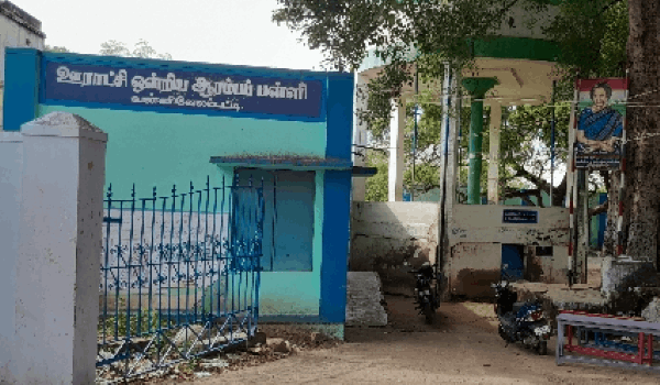 Pups, Vannivelampatti