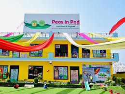 Peas in Pod Preschool & Daycare