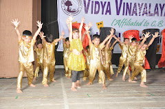 VIDYA VINAYALAYA SCHOOL